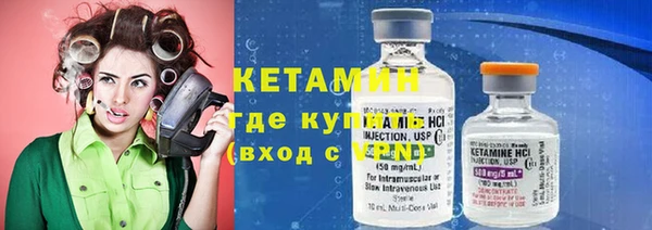 сатива Армянск