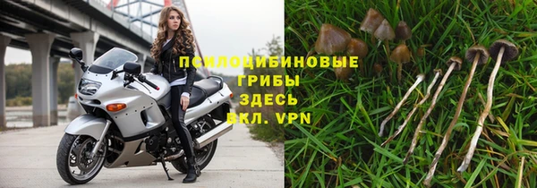 сатива Армянск