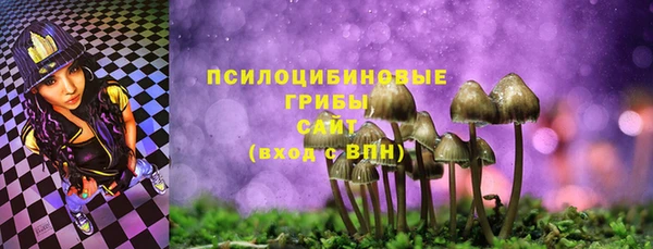 прущий лед Арсеньев