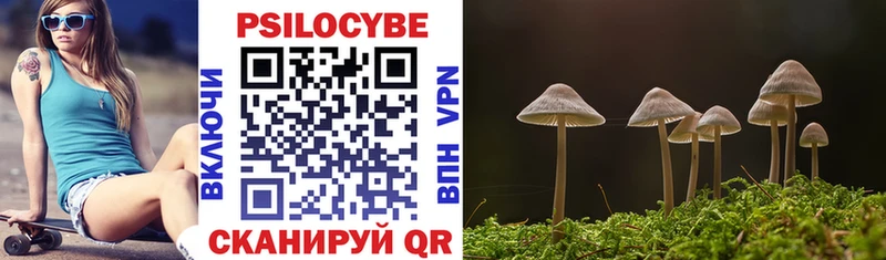 Псилоцибиновые грибы Magic Shrooms Судак