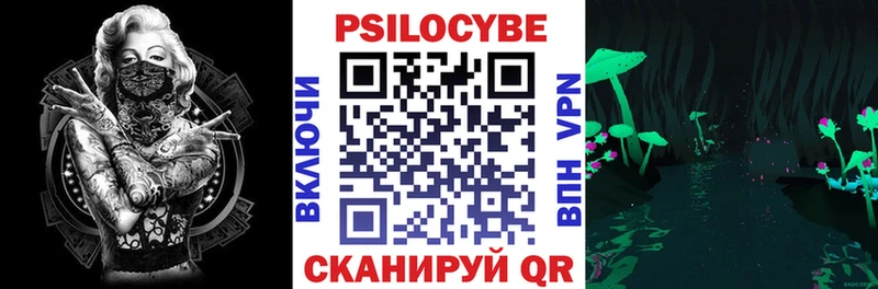 Галлюциногенные грибы Cubensis Судак