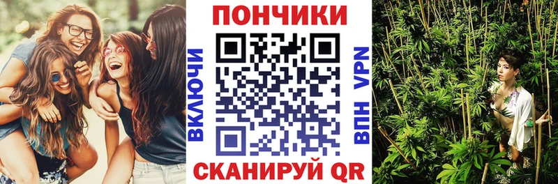МАРИХУАНА семена  Судак 